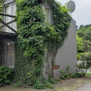 WhatsApp Image 2020-04-27 at 16.22.19 (2)